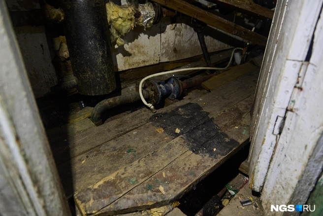 Соседи не знают, кто мог совершить поджог | Источник: Александр Ощепков / NGS.RU