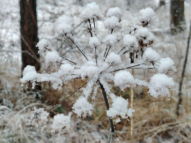 Источник: читатель E1.RU