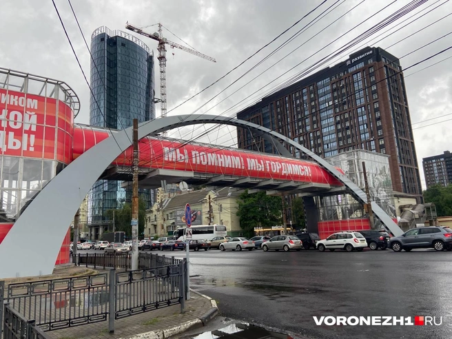Источник: Дмитрий Волгин / Voronezh1.ru