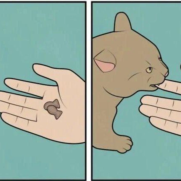 Источник: соцсети