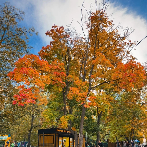 Он натоптал 20 километров, гуляя по городу | Источник: Сергей Коршилов / Вконтакте