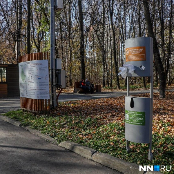 Пакетики для уборки за собаками | Источник: Наталья Бурухина / NN.RU