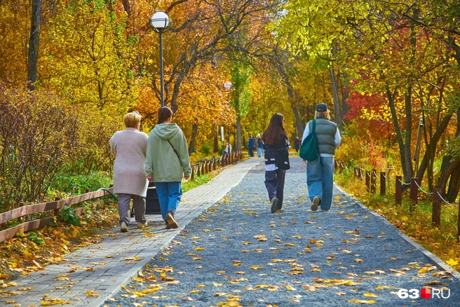 Самое время сходить на прогулку | Источник: Роман Данилкин / 63.RU