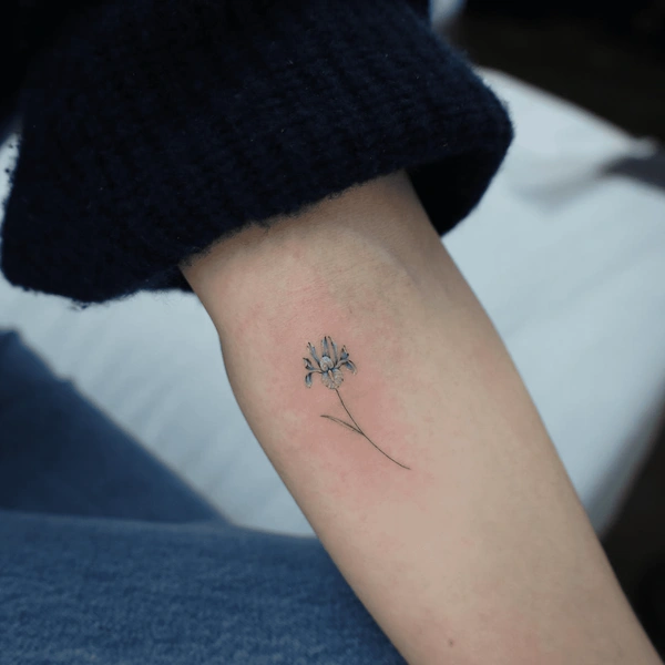 Источник: @mnsantanatattoo