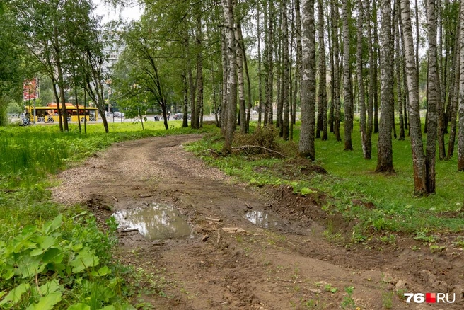 Благоустройство в глаз попало  | Источник: Кирилл Поверинов / 76.RU