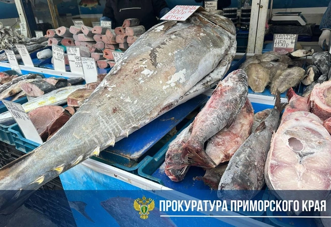 ИП не смог объяснить откуда у него огромная рыбина и килограммы трепанга | Источник: прокуратура Приморского края