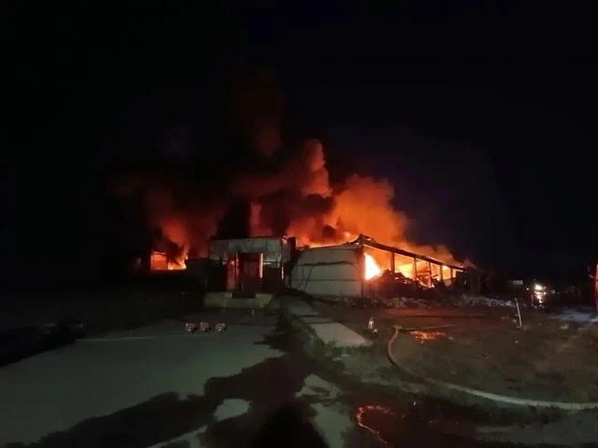 В Ленинградской области тушат ангар на 1200 квадратах. Произошло обрушение кровли | Источник: Прокуратура Ленобласти / телеграм-канал