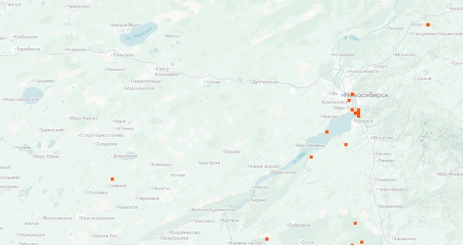 Грузди можно найти в окрестностях Бердска | Источник: inaturalist.org