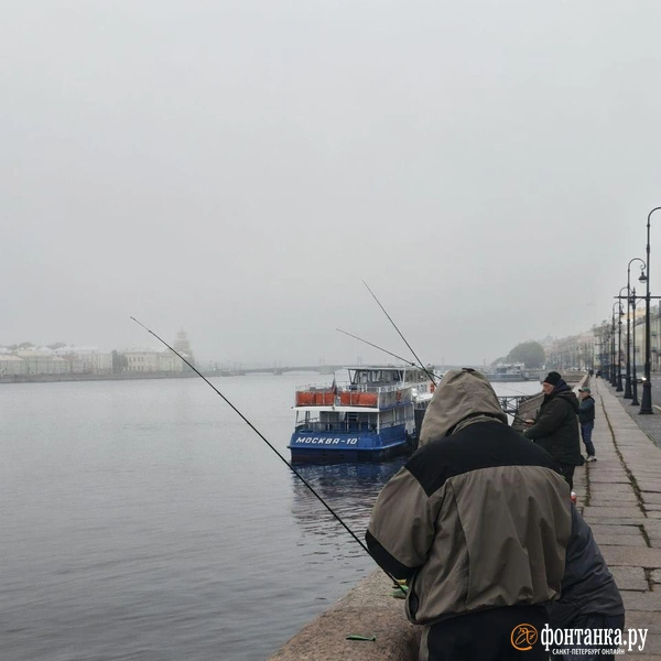 Источник: Алина Циопа/»Фонтанка.ру»