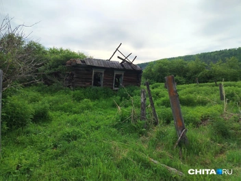 Источник: Дарья Харламова / CHITA.RU
