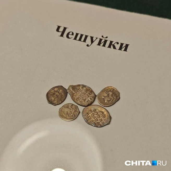 Чешуйки не имели номинала  | Источник: Тамара Ван-Фу-Ли / CHITA.RU