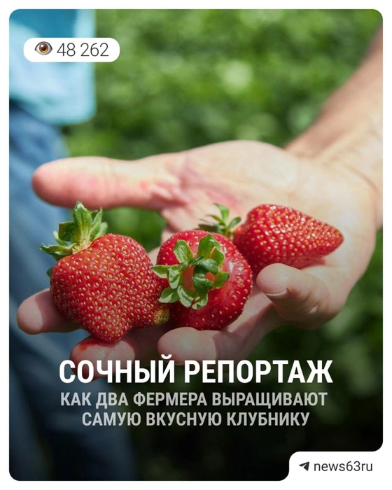 Подвели итоги года в части фоторепортажей, выбрали лучший | Источник: Роман Данилкин / 63.RU; Ксения Бирюкова / 63.RU