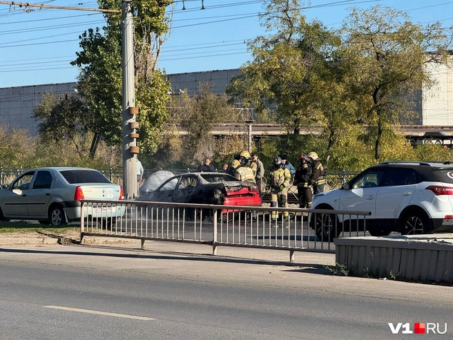 От огня удалось спасти лишь часть заднего бампера | Источник: читатели V1.RU