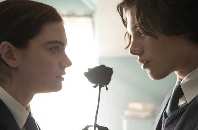 Фильм снят Netflix по роману Эрин Дум. Эта книга стала настоящим феноменом в Италии, разойдясь тиражом более полумиллиона копий. | Источник: Кадр из фильма «Творец слез» (18+), реж. Алессандро Дженовези, Netflix (2024)