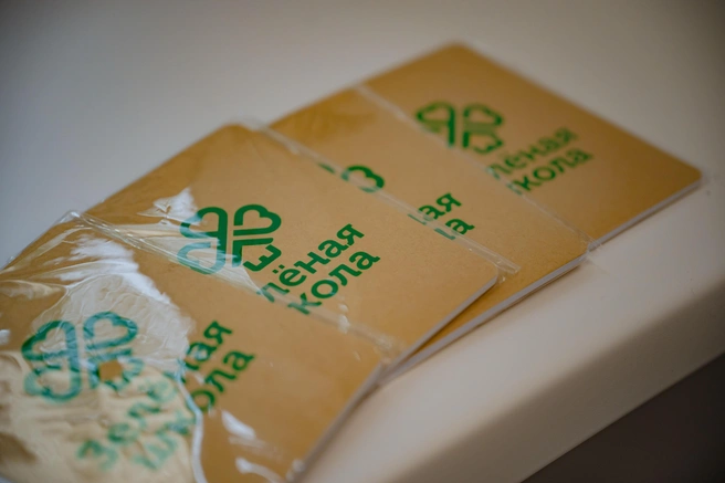 Юлия Евтифеева на полученные средства планирует закупить оргтехнику и мебель для оснащения пространства «Зеленой школы» | Источник: Юлия Евтифеева