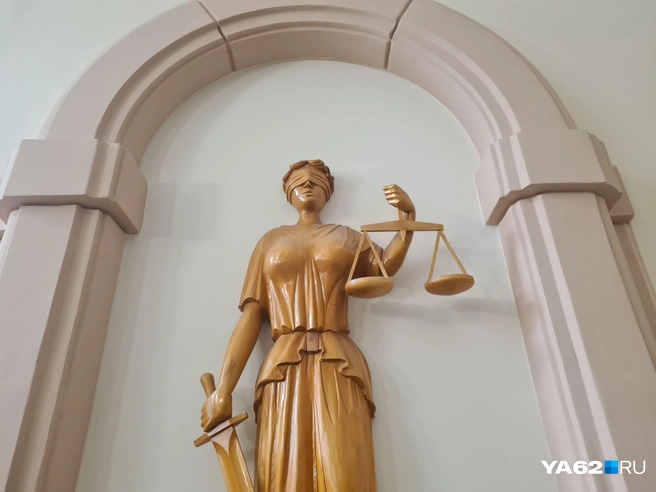 Следующее заседание по делу состоится 24 августа | Источник: Светлана Коновалова / YA62.RU