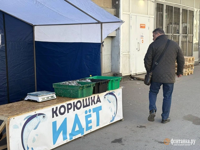 В Петербурге официально стартовала продажа корюшки. Цены уже ниже, но все еще кусаются В Петербурге официально стартовала продажа корюшки. Цены уже ниже, но все еще кусаются | Источник: Дарья Драй / «Фонтанка.ру»