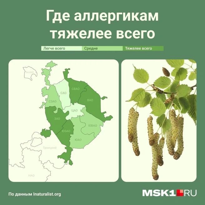 Источник: Мария Романова / Городские медиа