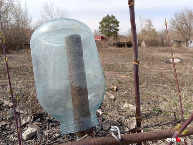 Лето приближается, дачники приезжают на свои участки | Источник: Владислав Митрошин / 56.RU