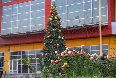 Метеоролог о декабре в Ростове: снега не будет