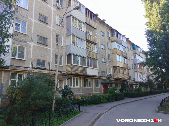 Источник: Дмитрий Волгин / Voronezh1.ru