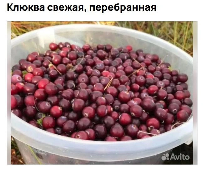 Источник: Авито / Avito.ru