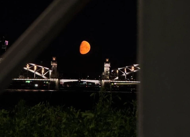 Луна близко. Готовимся наблюдать за небесной красотой | Источник: читатель «Фонтанки»