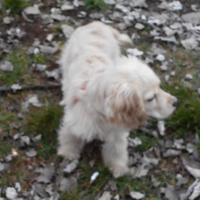 Аватарка Воздушная