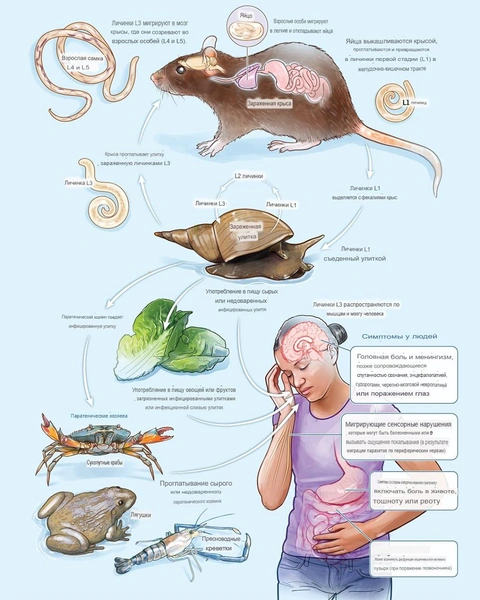 Источник: www.nejm.org