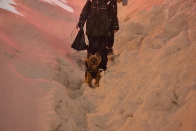 В Алтайском крае после морозов ожидается резкое потепление