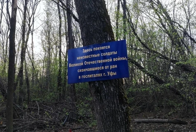 Ну хоть табличка есть | Источник: Яндекс Карты