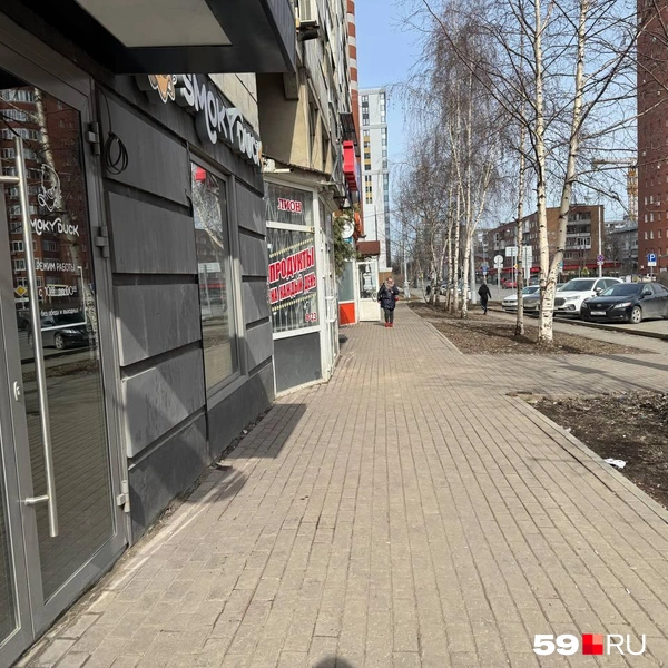 Скопление магазинов на Горького | Источник: Наталья Пальникова / 59.RU