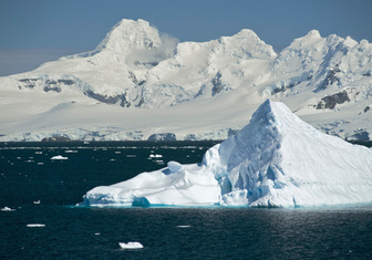 Популяция в опасности: что грозит крупнейшему сухопутному животному Антарктиды?