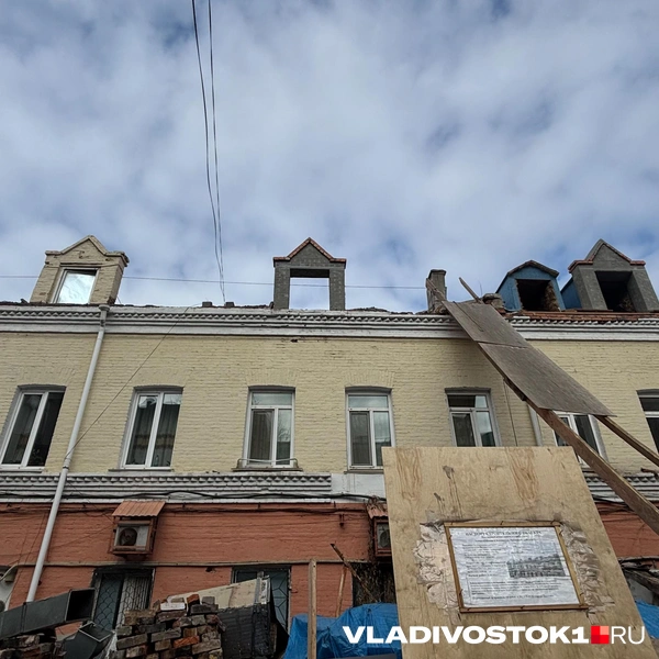 Источник: Елена Буйвол / VLADIVOSTOK1.RU