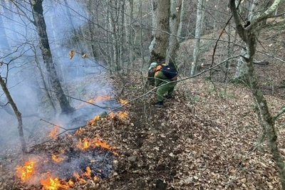 В Забайкалье за 2025 год зафиксировано свыше 700 лесных пожаров