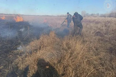 Огонь на 150 гектарах тушили почти 17 часов