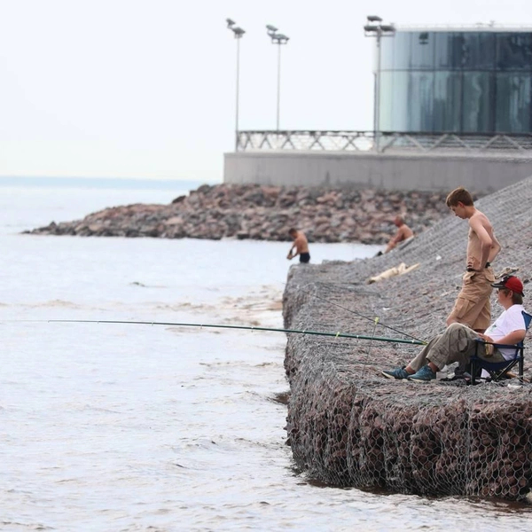 Источник: Сергей Михайличенко / «Фонтанка.ру»