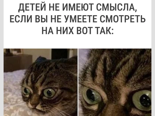 Особенно, когда речь идет о поведении в школе | Источник: Городские медиа