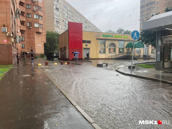 Источник: Вера Борисова / MSK1.RU