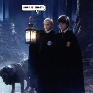 10 самых нелогичных фактов о Запретном лесе из «Гарри Поттера»