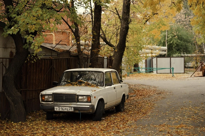 Источник: Дарья Паращенко / 93.RU