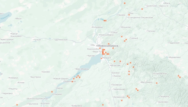 Лисички можно встретить во многих лесах | Источник: inaturalist.org