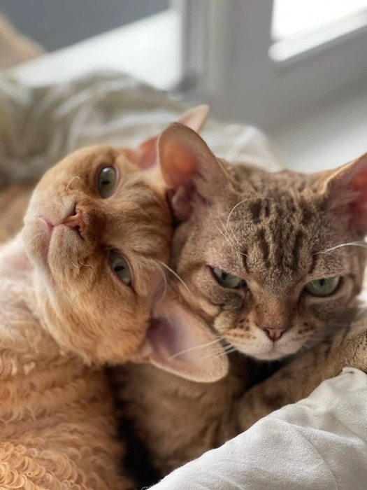 Замур-р-р-рчательно, когда рядом любимые | Источник: читатель 63.RU