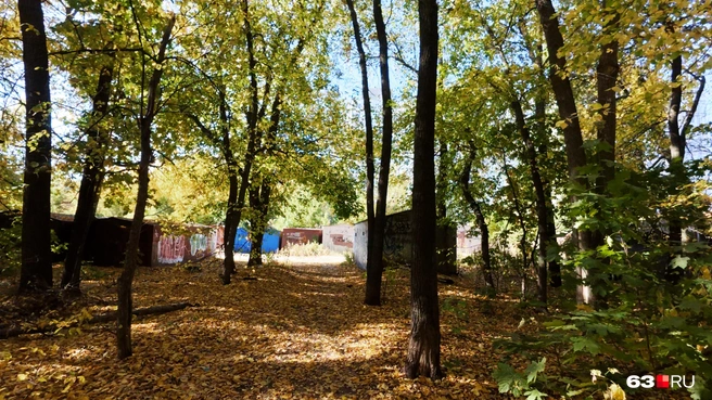 Выход из парка в сторону улицы Ташкентской | Источник: Алексей Ногинский / 63.RU