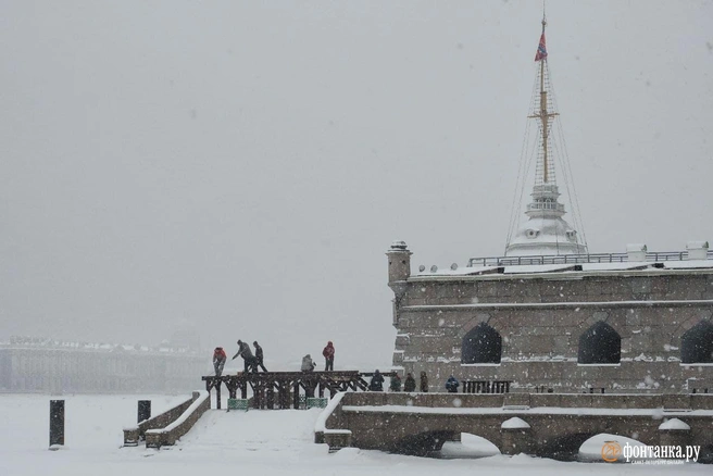 Источник: Михаил Огнев/«Фонтанка.ру»