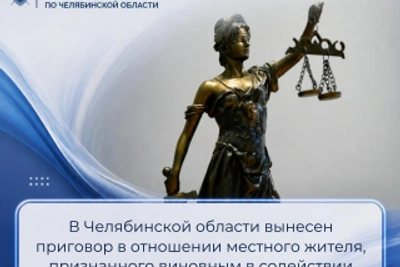 Житель Каслей осужден за финансирование терроризма