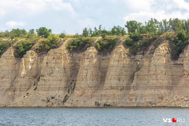 Источник: Константин Завриков / V1.RU