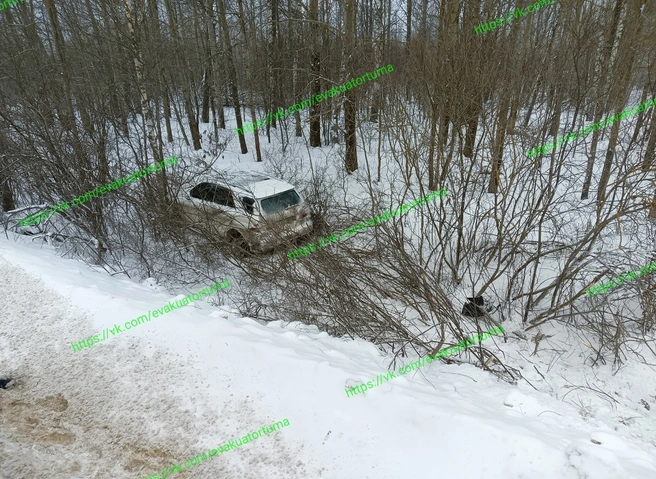 Близ Тумы улетел в кювет Mercedes | ya62.ru