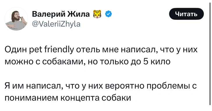 Источник: X (Twitter)