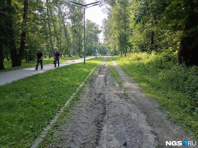 Освещение есть практически по всему парку | Источник: Рихарда Лем / NGS.RU
